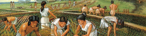 Istorija poljoprivrede